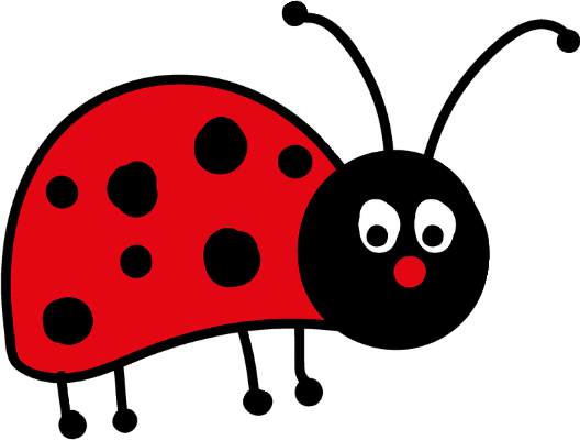 ladybird